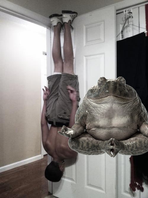 Kobushi Meme
