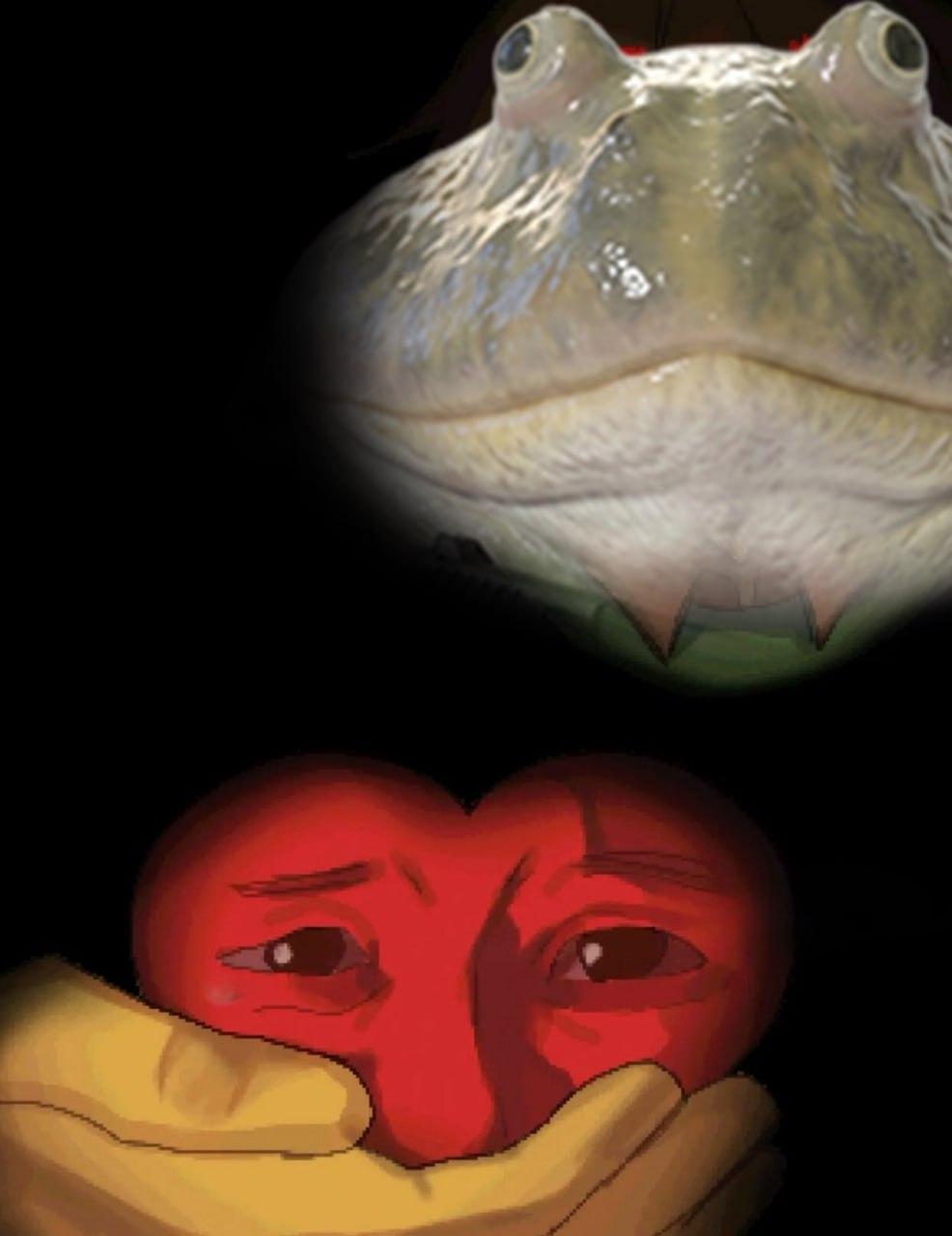 Kobushi Meme